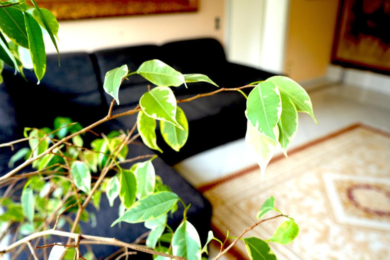 Dreamly Suites Oslip ภายนอก รูปภาพ